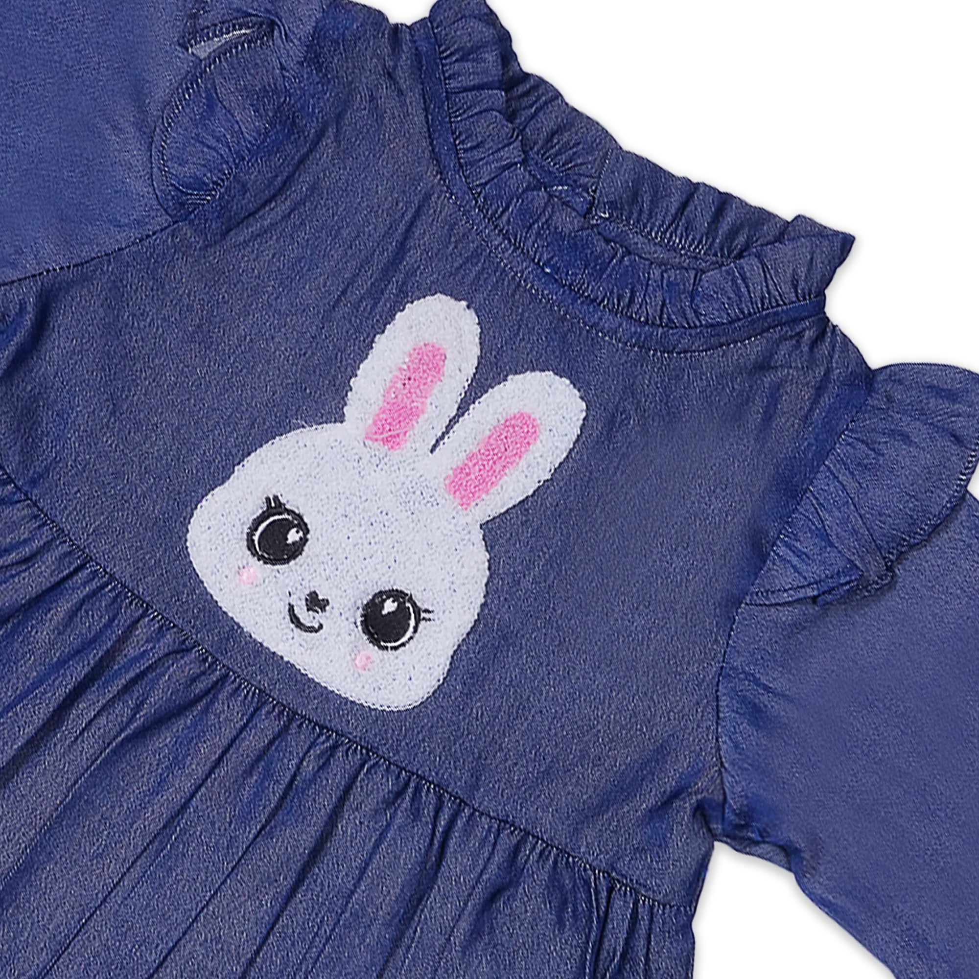 Baby Girls' Blue Bunny Appliqué Frock