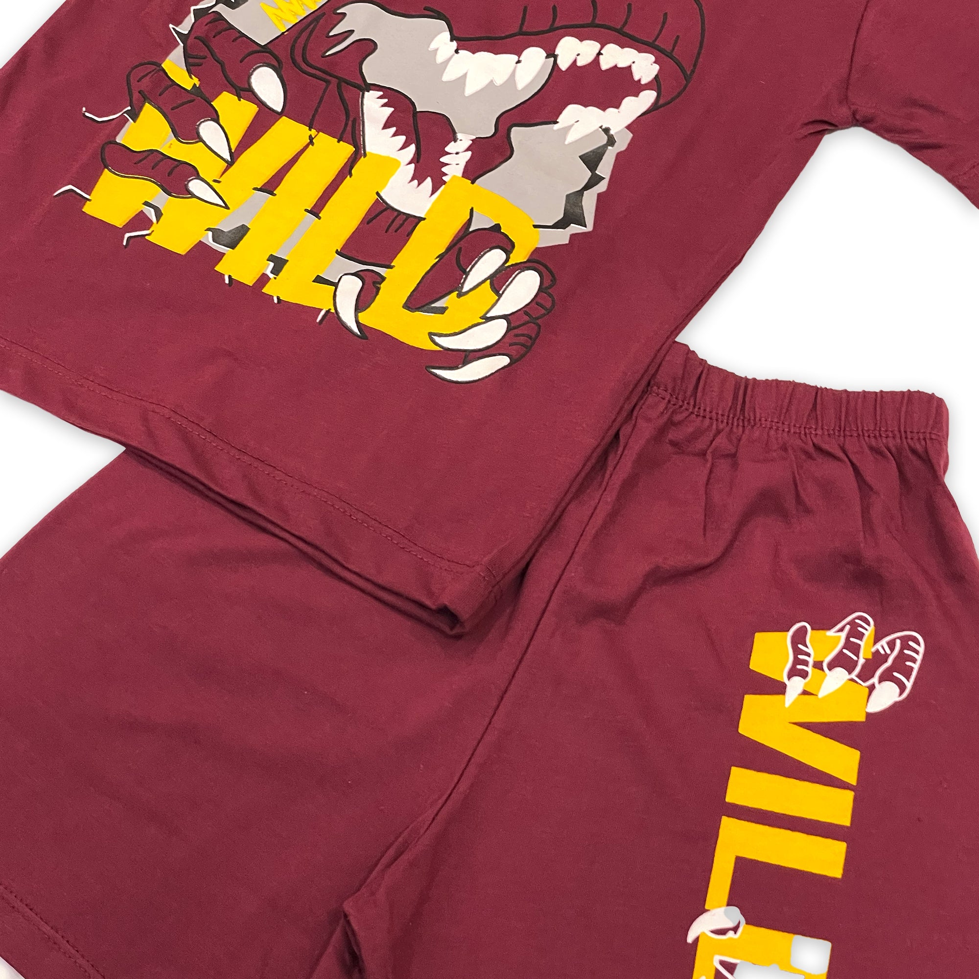 Boys' Maroon "Wild Dinosaur" T-Shirt and Shorts Set