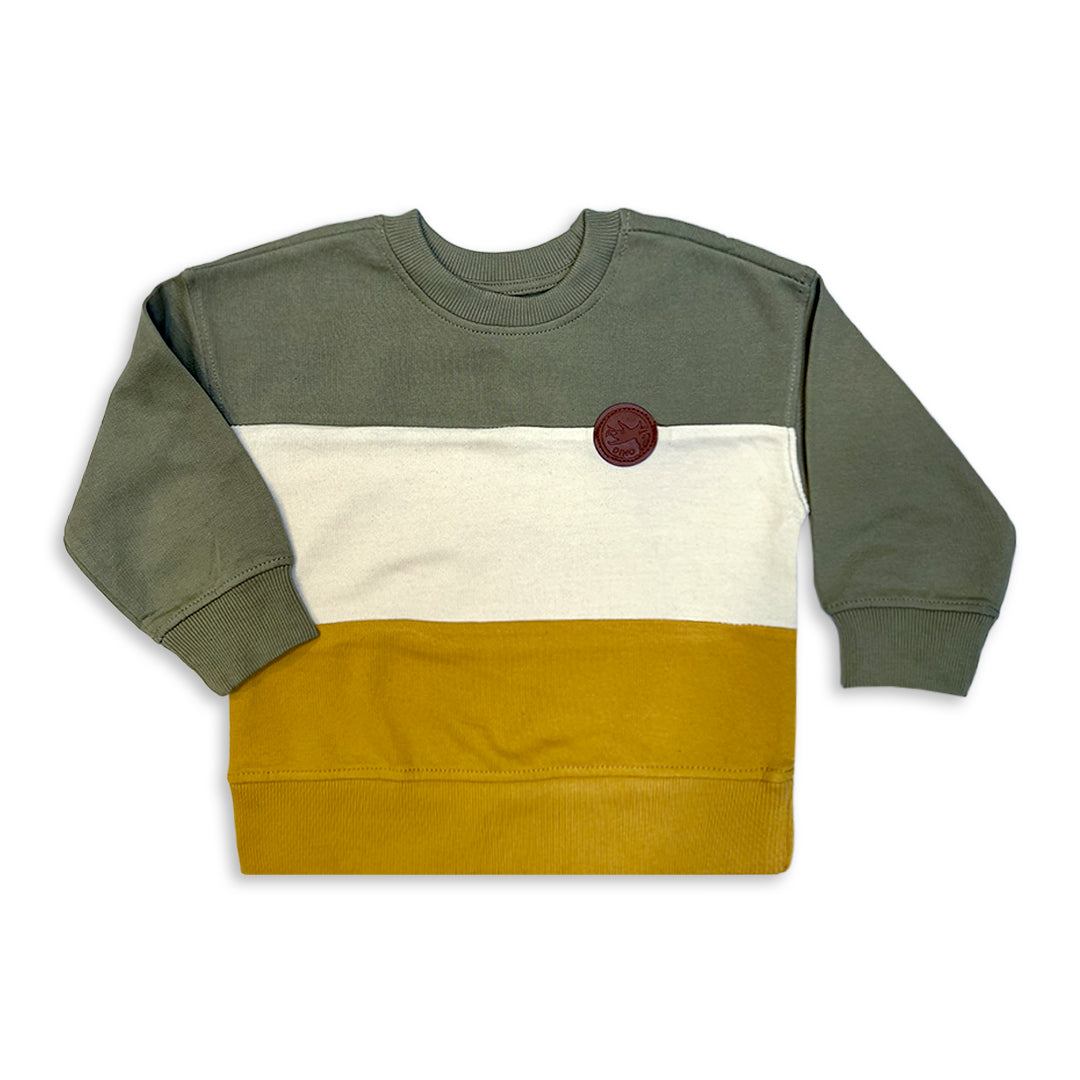 Kids' Colorblock Fleece  Branded Crewneck Sweatshirt with Faux Leather Patch
