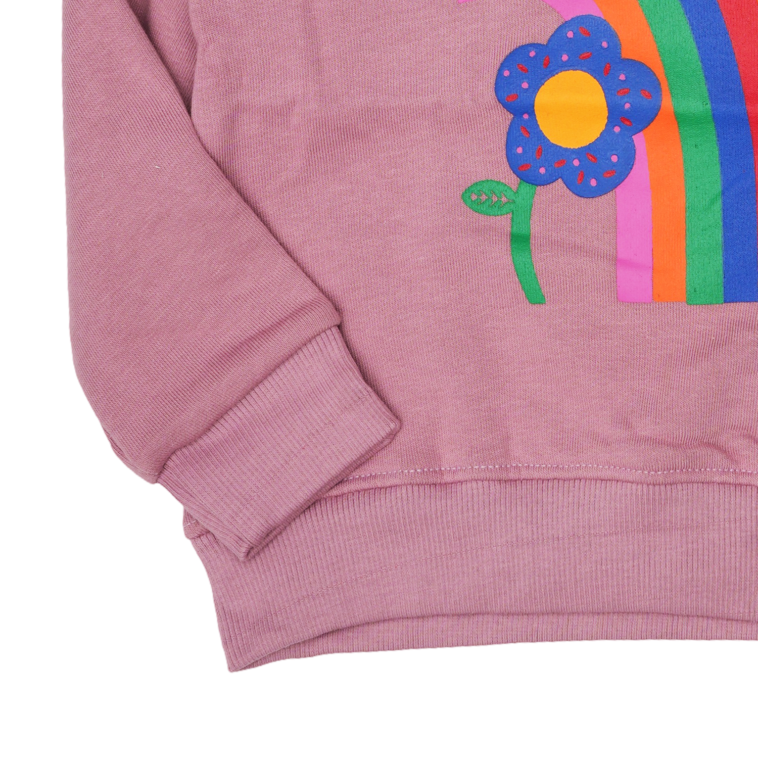 Rainbow Fleece Crewneck Sweatshirt