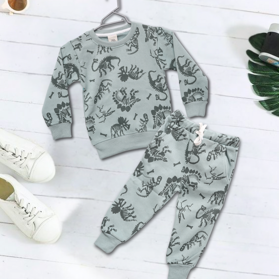 ZARA Dino Fleece 2 Piece Suit