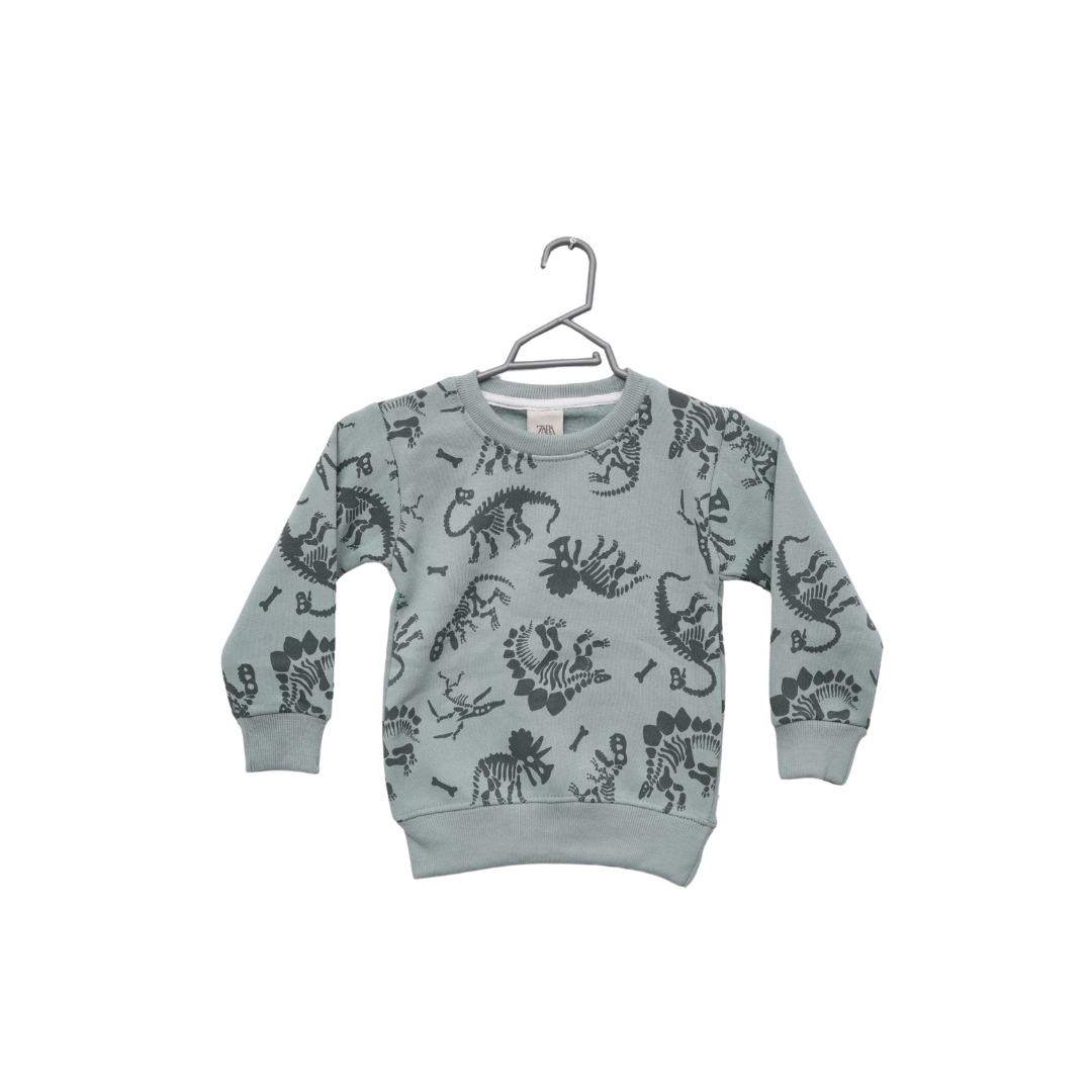 ZARA Dino Fleece 2 Piece Suit