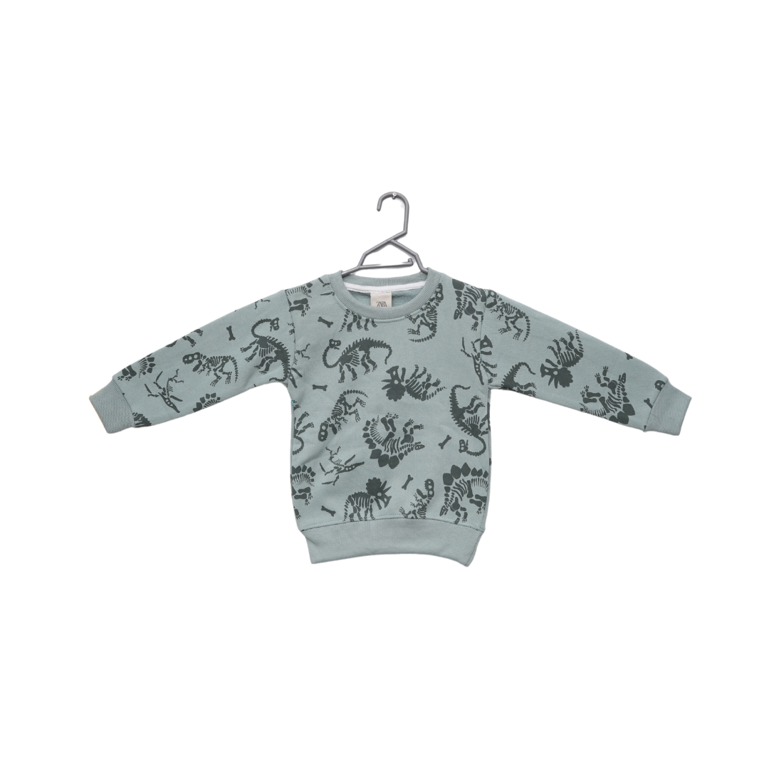 Dino Fleece 2 Piece Suit