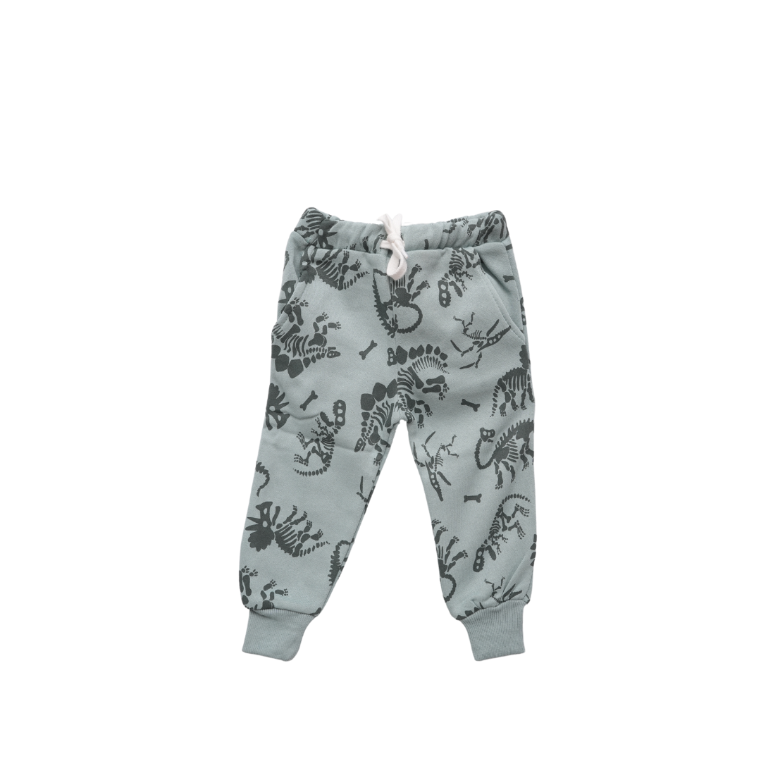 ZARA Dino Fleece 2 Piece Suit