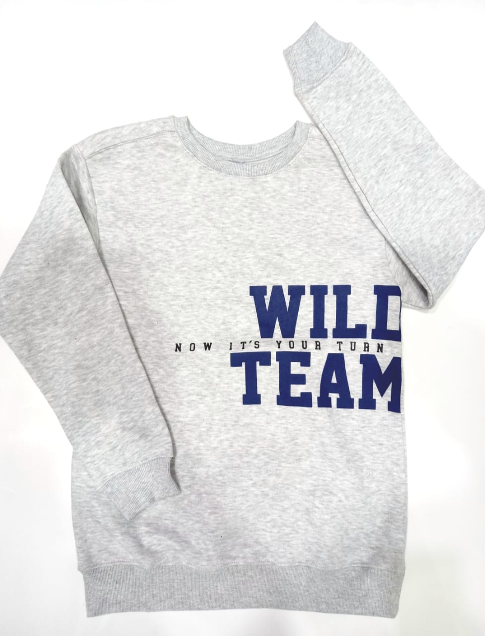 Lefties Boys' Grey "Wild Team" Crewneck Sweatshirt