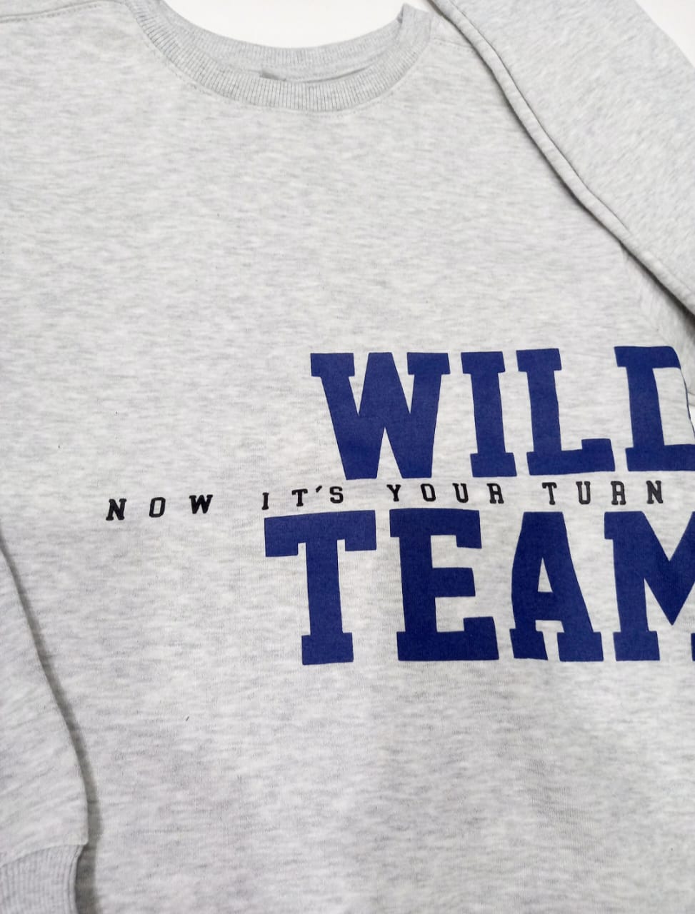 Lefties Boys' Grey "Wild Team" Crewneck Sweatshirt