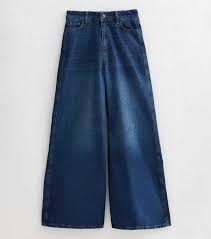 Dark blue plazo